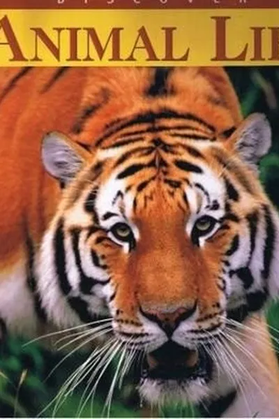 Capa de Discover animal life