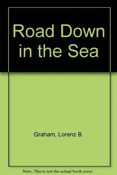 Capa de A road down in the sea