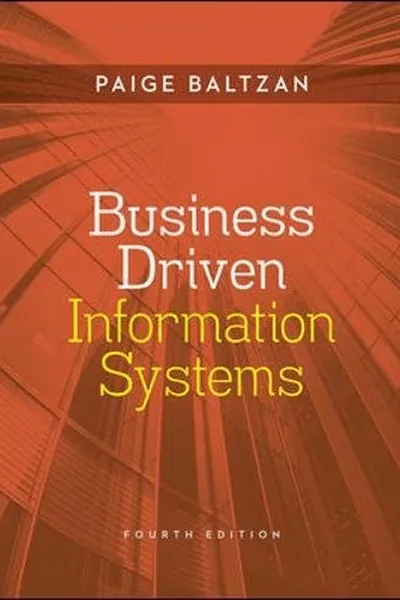 Capa de Business Driven Information Systems