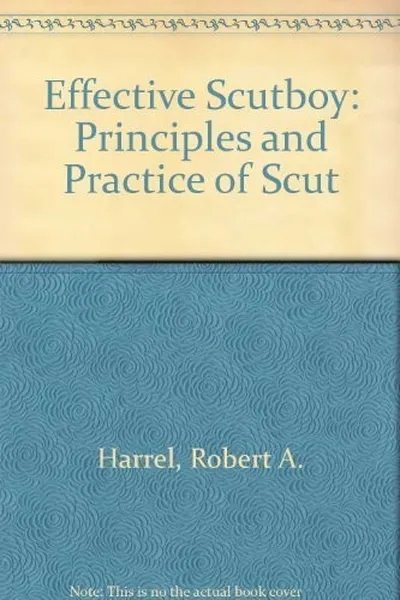 Capa de The effective scutboy