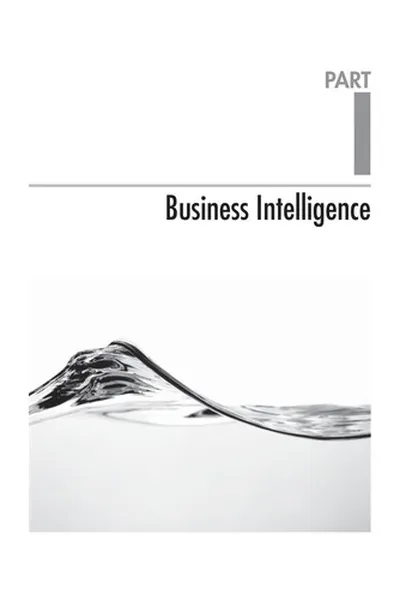 Capa de Business intelligence with Microsoft Office PerformancePoint Server 2007