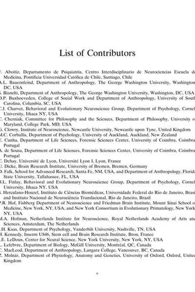 Capa de Evolution of the primate brain