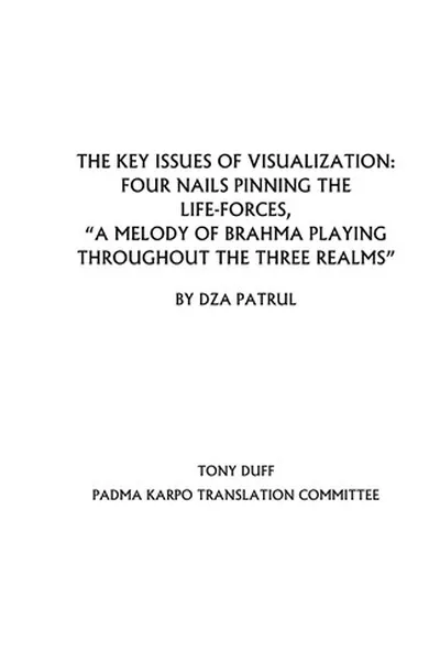 Capa de The key issues of visualization
