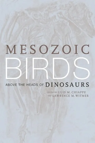 Capa de Mesozoic birds