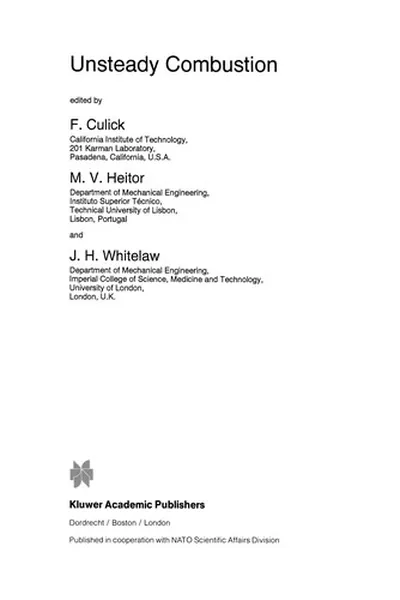 Capa de Unsteady Combustion