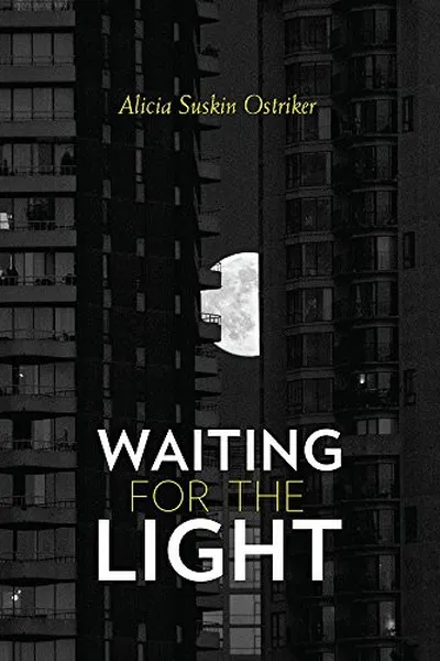 Capa de Waiting for the Light