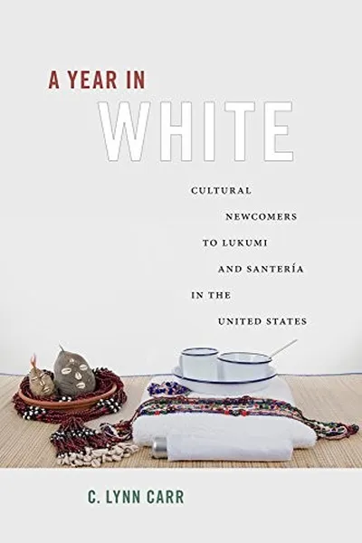 Capa de A year in white