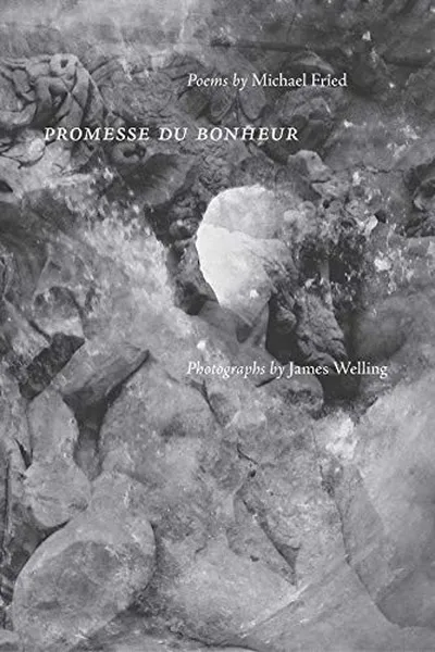 Capa de Promesse du Bonheur