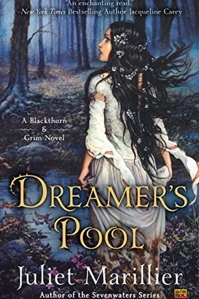 Capa de Dreamer's pool