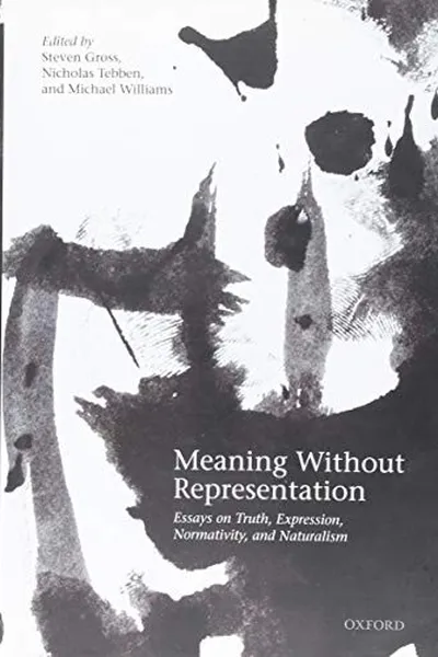 Capa de Meaning Without Representation
