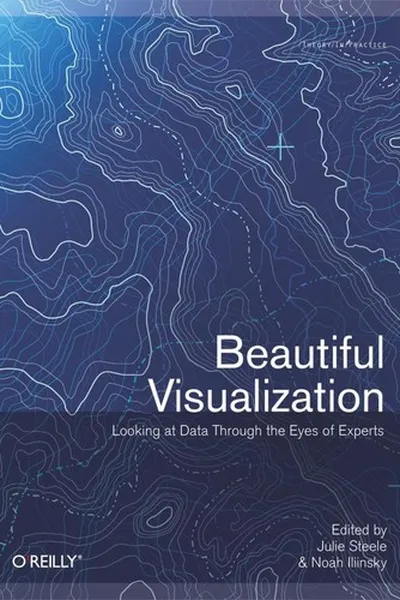 Capa de Beautiful Visualization