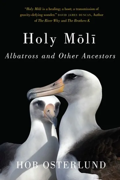 Capa de Holy Mōlī