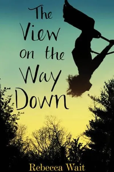 Capa de The View on the Way Down