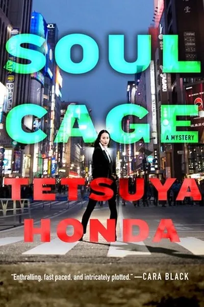 Capa de Soul Cage