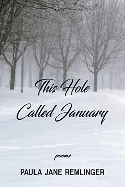 Capa de This Hole Called January