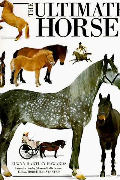 Capa de The ultimate horse book