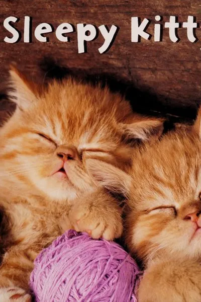 Capa de Sleepy kitty