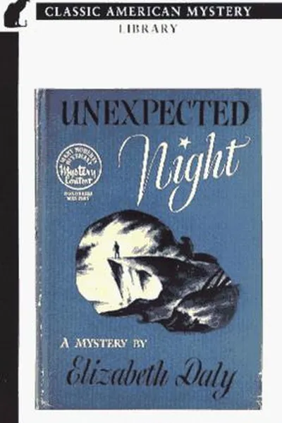 Capa de Unexpected Night