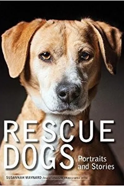 Capa de Rescue Dogs