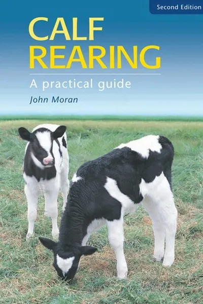 Capa de Calf rearing