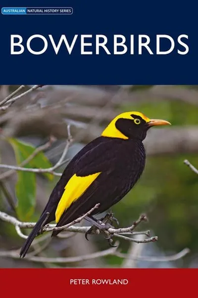 Capa de Bowerbirds