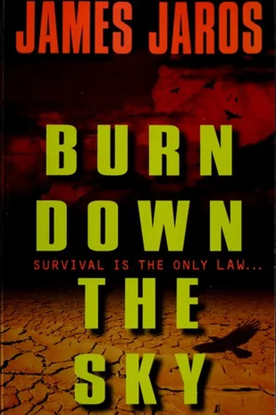 Capa de Burn down the sky