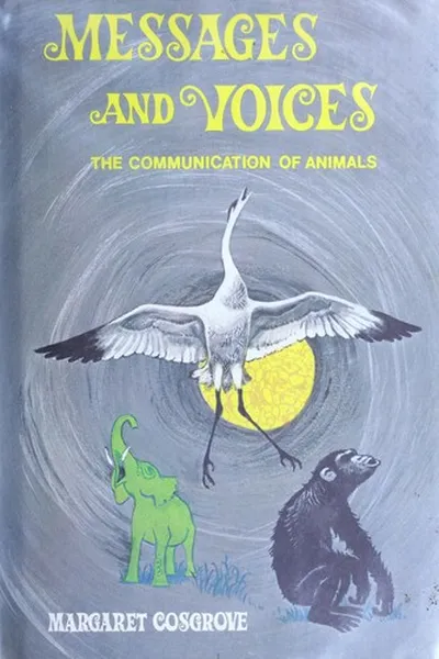 Capa de Messages and voices