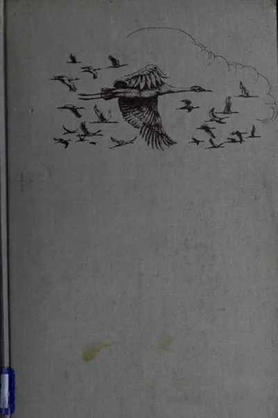 Capa de My way was north