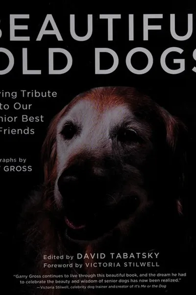 Capa de Beautiful old dogs
