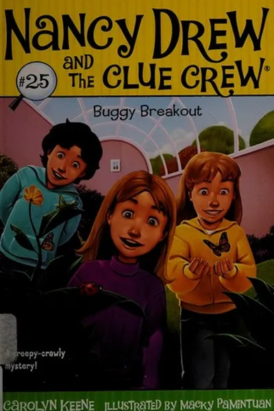 Capa de Buggy breakout