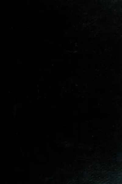 Capa de Economic thought and language