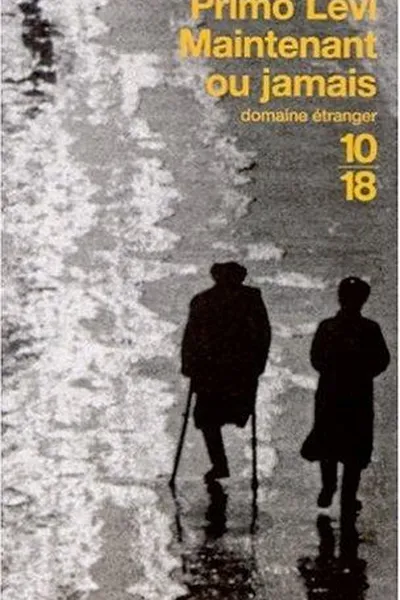 Capa de Se non ora, quando?