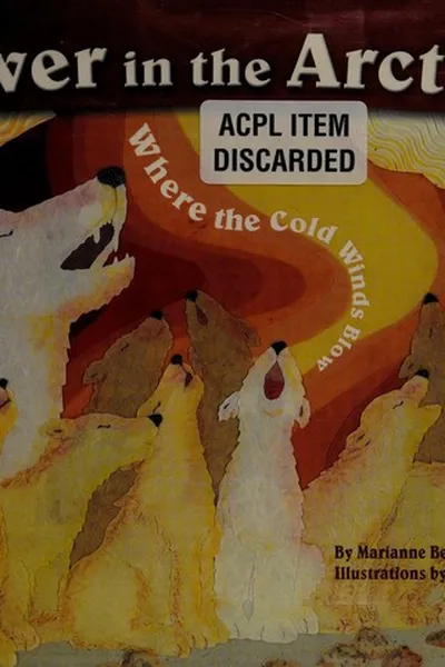 Capa de Over in the Arctic