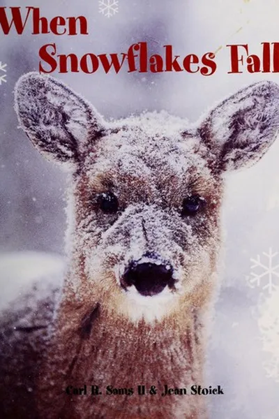 Capa de When snowflakes fall