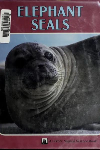 Capa de Elephant seals