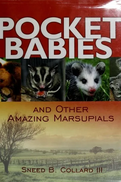 Capa de Pocket babies