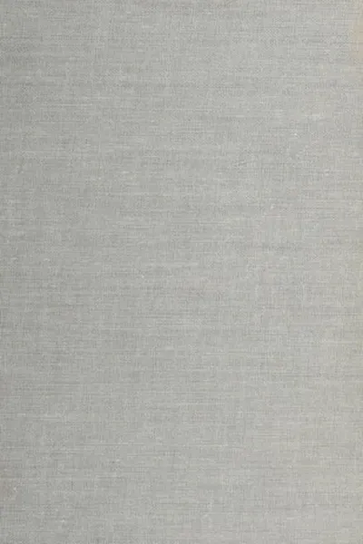 Capa de Last train over Rostov bridge