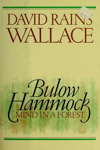 Capa de Bulow Hammock