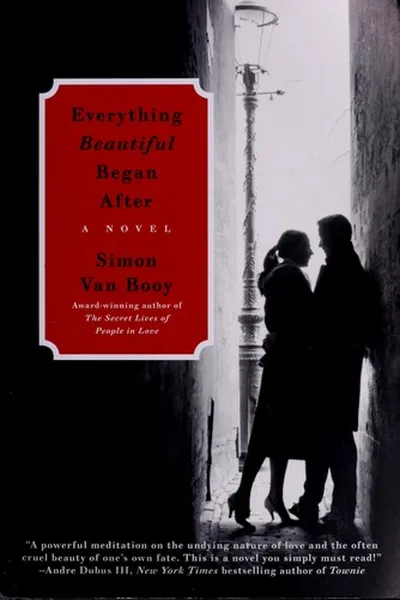 Capa de Everything beautiful began after