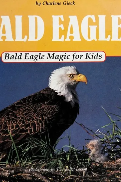 Capa de Bald eagle magic for kids