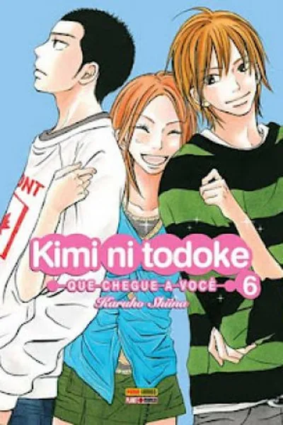 Cover of Kimi ni Todoke #06
