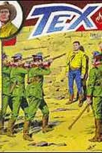 Cover of Tex Ouro N-28
