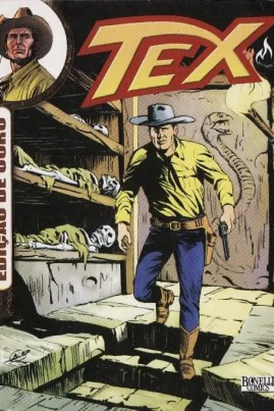 Cover of Tex Ouro #33
