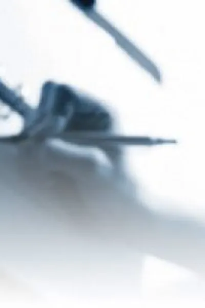 Cover of O diario de uma virgem