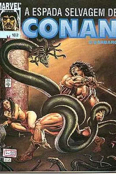 Cover of A Espada Selvagem de Conan # 102