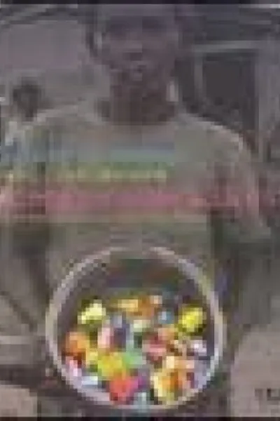 Cover of Quebra-cabeça Brasil