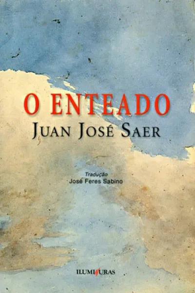 Cover of O enteado