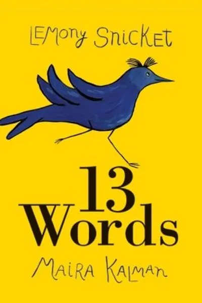 Cover of 13 Words