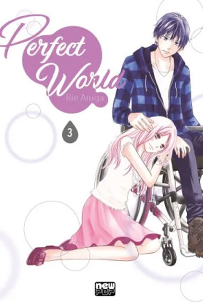 Cover of Perfect World #03