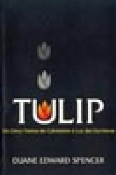 Cover of TULIP